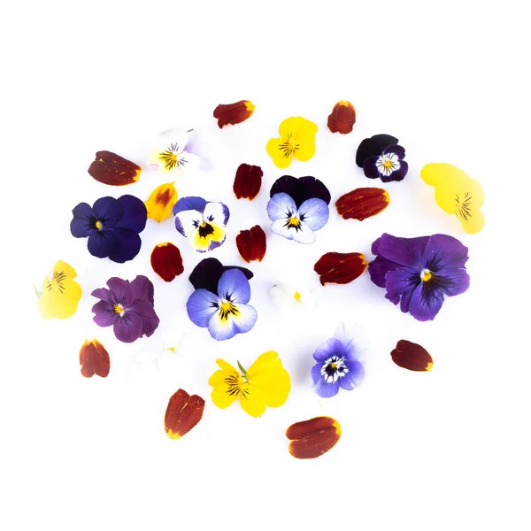 Mix de Pétalos Comestibles Mix de Pétalos Comestibles