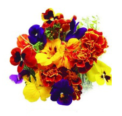 mix de flores comestibles