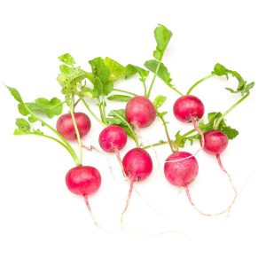 Rabanos baby organicos